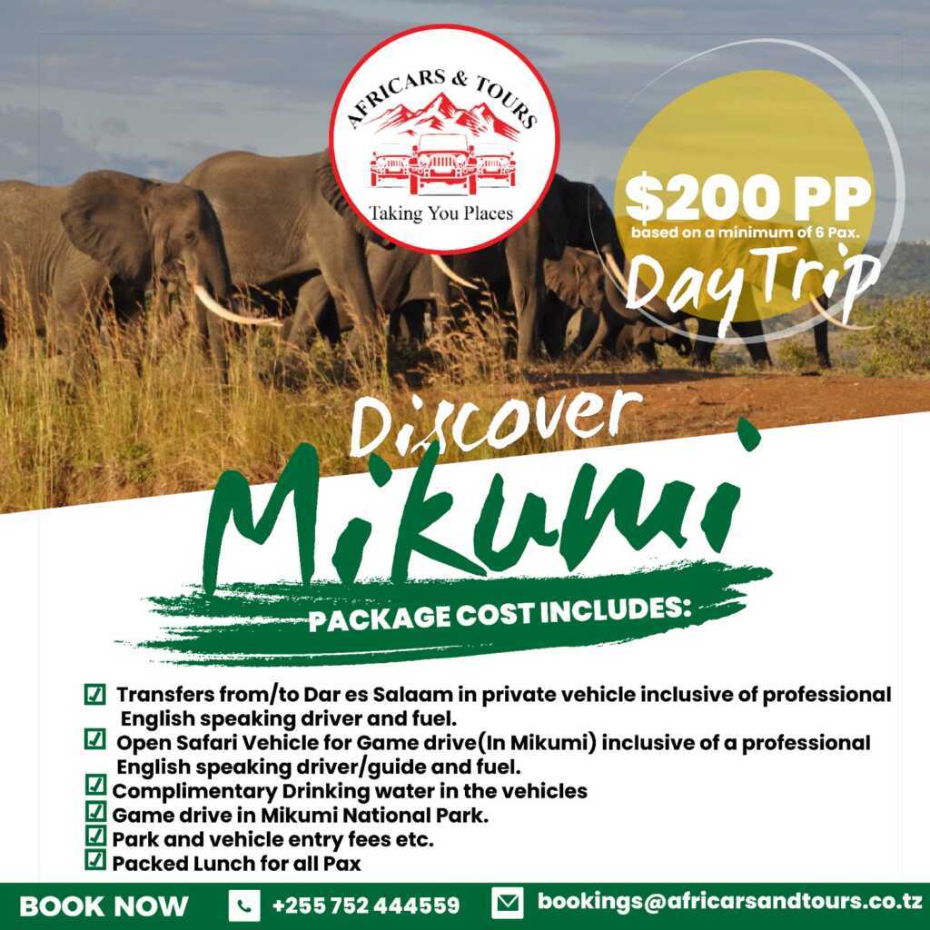 Discover Mikumi